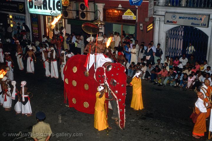 elephant procession, festival of the tooth