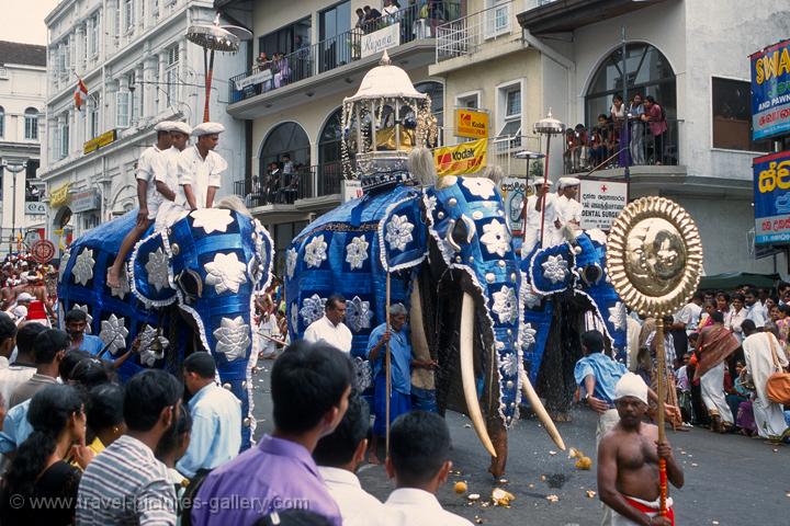 elephant procession, festival of the tooth, Kandy