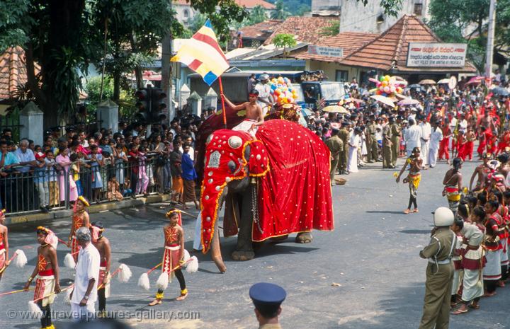 elephant procession, festival of the tooth, Kandy