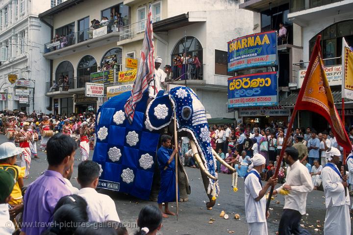 elephant procession, festival of the tooth, Kandy