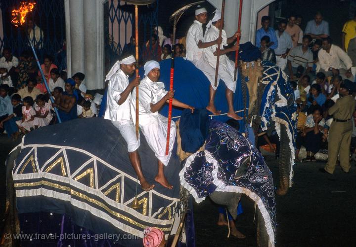 elephant procession, festival of the tooth, Kandy