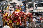 elephant procession, festival of the tooth