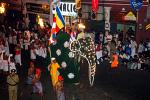 elephant procession, festival of the tooth