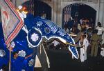 adorned elephant at the parade