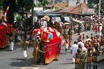 elephant procession, festival of the tooth
