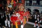 elephant procession, festival of the tooth