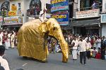 elephant procession, festival of the tooth