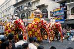 elephant procession, festival of the tooth