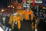 elephant procession, festival of the tooth