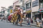elephant procession, festival of the tooth
