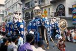 elephant procession, festival of the tooth, Kandy