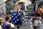 elephant procession, festival of the tooth, Kandy