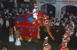 elephant procession, festival of the tooth, Kandy