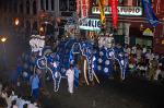 elephant procession, festival of the tooth, Kandy
