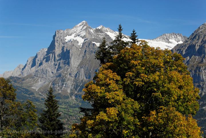 Grindelwald, Wetterhorn