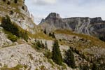 scenery on the Grindelwald to Schynige Platte walk