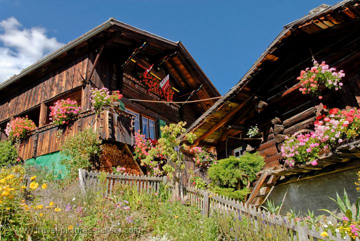 chalets with geraniums