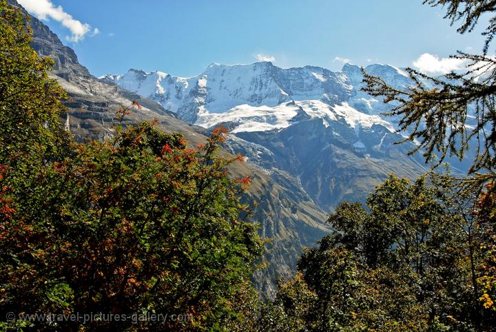 snowy peaks from Murren