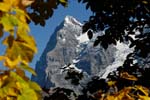 the Eiger from Mrren