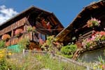 chalets with geraniums
