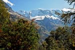 snowy peaks from Murren