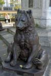 Berne, the Bernese bear statue, symbol of the city