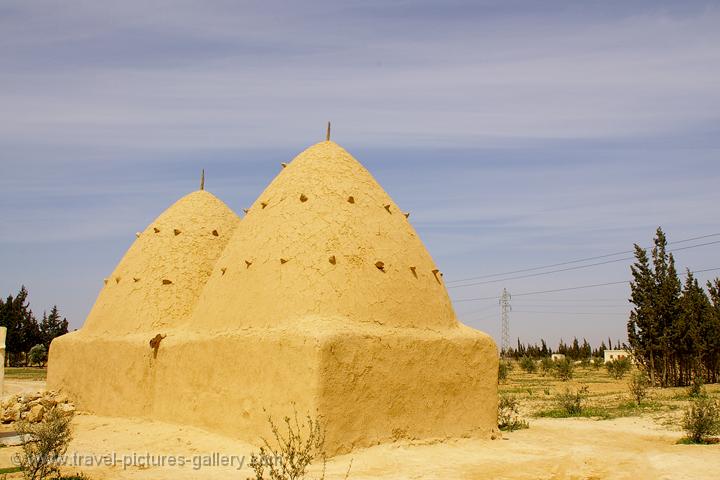 Pictures of Syria - mud brick houses on the way to Palmyra