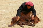 Bedouin man feeding a young goat