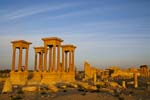 Palmyra, restored pillars
