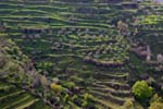 Pictures of Syria - landscape near Crac de Chevaliers