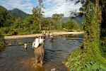 elephant trekking near Kanchanaburi
