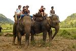 elephant trekking near Kanchanaburi