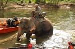 the mahout and his elephant, trekking near Kanchanaburi