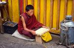 a young monk studying texts