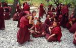 monks debating at Drepung Monastery