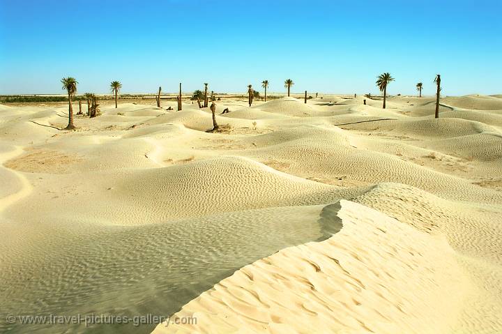 sand dunes of the Grand Erg Oriental Desert near Douz