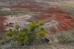 Arizona - Painted Desert