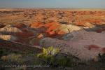 Arizona - Painted Desert