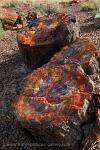 Arizona - Petrified Forest National Park