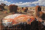 Arizona - Petrified Forest National Park