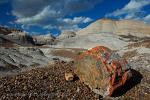 Arizona - Petrified Forest National Park