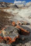 Arizona - Petrified Forest National Park