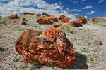 Arizona - Petrified Forest National Park