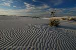 New Mexico- White Sands National Monument, desert landscape