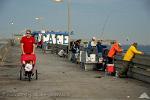 California - San Diego, fishing at the pier