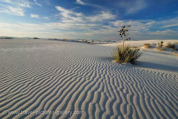 New Mexico- White Sands National Monument, desert landscape