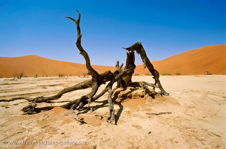 Namib Desert landscape