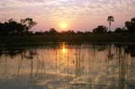 Okavango Delta, Botswana