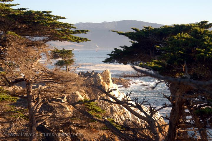 the Monterey Peninsula