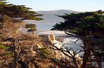 Monterey Peninsula